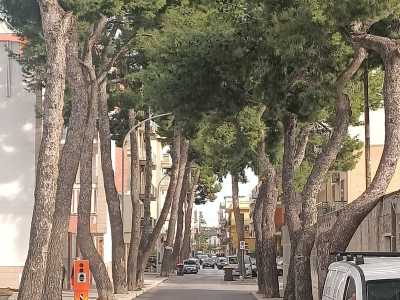 Bitonto, i resti della via Appia-Traiana